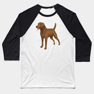 Chesapeake Bay Retriever Dog Baseball T-Shirt